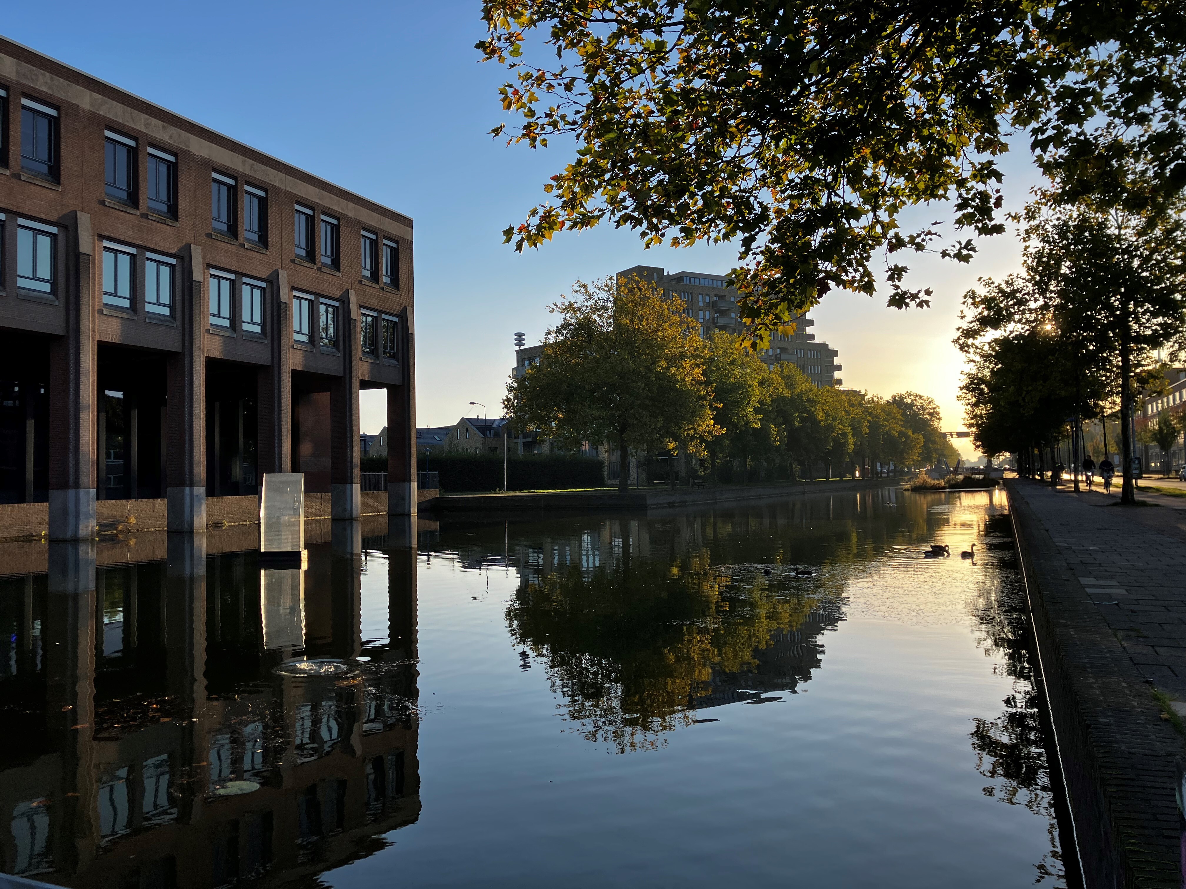 Projectkader Picustoren | Gemeente Eindhoven
